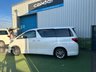 USED 2010 TOYOTA ALPHARD TOYOTA ALPHARD 3.5 LITRE FWD IDEAL FOR CUSTOM CAMPER CONVERSION #1189 Ideal van for custom conversion