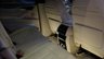 USED 2016 66 BMW X5 3.0 M50d SUV 5dr Diesel Auto xDrive Euro 6 (s/s) (381 ps) 