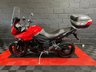 USED 2013 13 TRIUMPH TIGER 1050 FINANCE SPECIALISTS APPLY NOW  LOW RATE FINANCE DELIVERY AVAILABLE