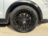USED 2017 17 AUDI Q3 Black Edition 2.0 TDI S Tronic quattro SUV 5dr Diesel Euro 6 (s/s) (184 ps) 