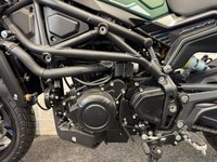 USED 2025 75 BENELLI Leoncino 800 LEONCINO 800 BRAND NEW - TWO YEAR WARRANTY