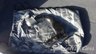 USED 2018 18 AUDI Q5 2.0 TFSI S line SUV 5dr Petrol S Tronic quattro Euro 6 (s/s) (252 ps) 