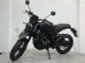 USED 2024 74 LEXMOTO Scrambler 125 ONLY 36 MILES YAMAHA MAIN DEALERSHIP