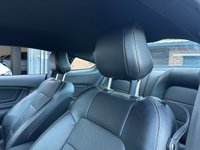 USED 2019 69 FORD MUSTANG 2.3T EcoBoost Fastback 2dr Petrol SelShift Euro 6 (290 ps) CUSTOM PACK 2