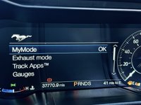 USED 2019 69 FORD MUSTANG 2.3T EcoBoost Fastback 2dr Petrol SelShift Euro 6 (290 ps) CUSTOM PACK 2
