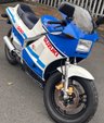 USED 1985 C SUZUKI RG 500 2 Stroke Sports Classic Only two owners from new