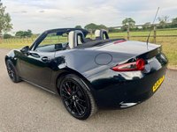 USED 2024 24 MAZDA MX-5 2.0 SKYACTIV-G Homura Convertible 2dr Petrol Manual Euro 6 (s/s) (184 ps) 