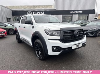2026 GWM POER300