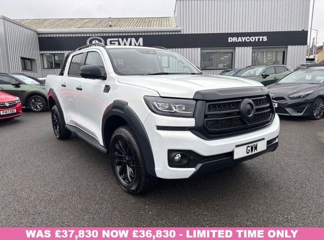 View our GWM POER300