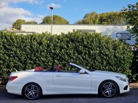 USED 2015 65 MERCEDES-BENZ E-CLASS 2.1 E220 BlueTEC AMG Line (Premium) Cabriolet 2dr Diesel G-Tronic+ Euro 6 (s/s) (177 ps) RARE FACTORY ORDERED CABRIO