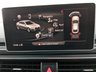 USED 2019 19 AUDI A5 2.0 TDI 35 Black Edition Sportback 5dr Diesel S Tronic Euro 6 (s/s) (150 ps) 20'' ALLOY WHEELS , FRONT AND REAR PARKING SENSORS , HEATED LEATHER SEATS , SAT NAV , APPLE CARPLAY / ANDROID AUTO , BLUETOOTH , CRUISE CONTROL , SPEED LIMITER
