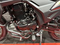 USED LEXMOTO CARRERA 