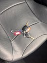 USED 2002 52 MINI HATCH 1.6 Cooper Hatchback 3dr Petrol Manual Euro 3 (115 ps) SPARE OR REPAIR / TRADE SALE