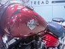 USED 2010 10 HARLEY-DAVIDSON SOFTAIL Rocker C 1585cc Nationwide Delivery &pound;149 - 9.9% APR