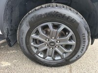 USED 2023 73 FORD RANGER 2.0 TD EcoBlue Wildtrak, 14.500 miles, Full Service Hist, 1 owner, Automatic, Sat Nav, Alloys  Rear camera, Leather Interior, Euro 6 ULEZ! +VAT @20%! This 2023 Ford Ranger TD Wildtrak presents an exceptional opportunity with its remarkably low mileage of just 14,500 miles and a single owner from new. This Four Wheel Drive pickup is powered by an efficient 2.0L Diesel engine, meeting Euro 6 emissions standards. It boasts a range of desirable features, including a heated steering wheel for those colder mornings, passive keyless entry and start for ultimate convenience, and advanced LED reflector headlights for superior visibility. The Technolog