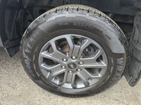 USED 2023 73 FORD RANGER 2.0 TD EcoBlue Wildtrak, 14.500 miles, Full Service Hist, 1 owner, Automatic, Sat Nav, Alloys  Rear camera, Leather Interior, Euro 6 ULEZ! +VAT @20%! This 2023 Ford Ranger TD Wildtrak presents an exceptional opportunity with its remarkably low mileage of just 14,500 miles and a single owner from new. This Four Wheel Drive pickup is powered by an efficient 2.0L Diesel engine, meeting Euro 6 emissions standards. It boasts a range of desirable features, including a heated steering wheel for those colder mornings, passive keyless entry and start for ultimate convenience, and advanced LED reflector headlights for superior visibility. The Technolog