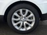 USED 2015 65 LAND ROVER RANGE ROVER SPORT 3.0 SD V6 HSE SUV 5dr Diesel Auto 4WD Euro 6 (s/s) (306 ps) THIS CAR COMES WITH 6 MONTHS WARRANTY , BREAKDOWN COVER & RECOVERY++  GREAT EXAMPLE OF AUTOMATIC 4 X 4 + NAVIGATION SYSTEM + BLUETOOTH + DAB RADIO + USB CONNECTION + AUX CONNECTION + FRONT AND REAR PARKING SENSORS + REVERSING CAMERA + FULL  LEATHER TRIM  + FRONT HEATED SEATS + REAR HEATED SEATS + FRONT MEMORY SEATS + CRUISE CONTROL + CLIMATE CONTROL + PRIVACY GLASS + 20 INCH ALLOY WHEELS + FRONT AND BACK COOLING SEATS AUTO START STOP + ELECTRIC PARKING BRAKE + HILL HOLD ASSIST +