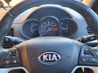 USED 2015 15 KIA PICANTO 1.25 2 Hatchback 5dr Petrol Auto Euro 5 (84 bhp) 