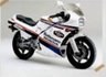 USED 1986 HONDA NS250 F Sports Classic Fully gone through, no expense spared