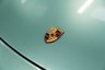 USED 2006 D PORSCHE 911 3.8 997 Carrera 4S Cabriolet 2dr Petrol Manual AWD (285 g/km, 350 bhp) 