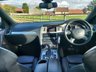 USED 2012 62 AUDI Q7 3.0 TDI V6 S line Plus SUV 5dr Diesel Tiptronic quattro Euro 5 (s/s) (245 ps) 