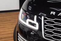 USED 2019 19 LAND ROVER RANGE ROVER 4.4 SD V8 Autobiography  