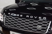 USED 2019 19 LAND ROVER RANGE ROVER 4.4 SD V8 Autobiography  