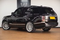 USED 2019 19 LAND ROVER RANGE ROVER 4.4 SD V8 Autobiography  