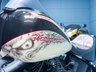 USED 2014 64 HARLEY-DAVIDSON SOFTAIL 1690 FLSTFB Fat Boy Special Custom  Nationwide Delivery &pound;149 - 9.9% APR