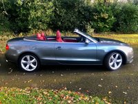 USED 2016 16 AUDI A5 CABRIOLET 2.0 TFSI SE Convertible 2dr Petrol S Tronic quattro Euro 6 (s/s) (230 ps)QUATTRO-4X4-FULL RED LEATHER SPORTS SEATS//FRONT AND REAR PARK ASSIST//LADY OWNER SINCE 2021 WITH EXCELLENT SERVICE HISTORY//BLUETOOTH//DAD//NEW MOT AND FRONT TYRES S-TRONIC QUATTRO Euro 6 (s/s) (230 ps)QUATTRO-4X4-FULL RED LEATHER SPORTS HEATED SEATS//FRONT AND REAR PARK ASSIST//SAT-NAV//LADY OWNER SINCE 2021 WITH EXCELLENT SERVICE HISTORY//BLUETOOTH//DAD