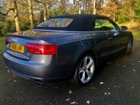 USED 2016 16 AUDI A5 CABRIOLET 2.0 TFSI SE Convertible 2dr Petrol S Tronic quattro Euro 6 (s/s) (230 ps)QUATTRO-4X4-FULL RED LEATHER SPORTS SEATS//FRONT AND REAR PARK ASSIST//LADY OWNER SINCE 2021 WITH EXCELLENT SERVICE HISTORY//BLUETOOTH//DAD//NEW MOT AND FRONT TYRES S-TRONIC QUATTRO Euro 6 (s/s) (230 ps)QUATTRO-4X4-FULL RED LEATHER SPORTS HEATED SEATS//FRONT AND REAR PARK ASSIST//SAT-NAV//LADY OWNER SINCE 2021 WITH EXCELLENT SERVICE HISTORY//BLUETOOTH//DAD