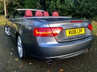 USED 2016 16 AUDI A5 CABRIOLET 2.0 TFSI SE Convertible 2dr Petrol S Tronic quattro Euro 6 (s/s) (230 ps)QUATTRO-4X4-FULL RED LEATHER SPORTS SEATS//FRONT AND REAR PARK ASSIST//LADY OWNER SINCE 2021 WITH EXCELLENT SERVICE HISTORY//BLUETOOTH//DAD//NEW MOT AND FRONT TYRES S-TRONIC QUATTRO Euro 6 (s/s) (230 ps)QUATTRO-4X4-FULL RED LEATHER SPORTS HEATED SEATS//FRONT AND REAR PARK ASSIST//SAT-NAV//LADY OWNER SINCE 2021 WITH EXCELLENT SERVICE HISTORY//BLUETOOTH//DAD