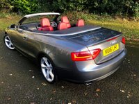 USED 2016 16 AUDI A5 CABRIOLET 2.0 TFSI SE Convertible 2dr Petrol S Tronic quattro Euro 6 (s/s) (230 ps)QUATTRO-4X4-FULL RED LEATHER SPORTS SEATS//FRONT AND REAR PARK ASSIST//LADY OWNER SINCE 2021 WITH EXCELLENT SERVICE HISTORY//BLUETOOTH//DAD//NEW MOT AND FRONT TYRES S-TRONIC QUATTRO Euro 6 (s/s) (230 ps)QUATTRO-4X4-FULL RED LEATHER SPORTS HEATED SEATS//FRONT AND REAR PARK ASSIST//SAT-NAV//LADY OWNER SINCE 2021 WITH EXCELLENT SERVICE HISTORY//BLUETOOTH//DAD