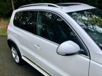 USED 2013 13 VOLKSWAGEN TIGUAN 2.0 TDI BlueMotion Tech R-Line SUV 5dr Diesel Manual 4WD Euro 5 (s/s) (170 ps) 1 LADY OWNER FROM 2 MONTHS OLD//X12 MAIN DEALER/SPECIALIST SERVICE STAMPS//OPTICAL PARK ASSIST SYSTEM//PANORAMIC GLASS ROOF//HEATED BLACK LEATHER SPORTS SEATING\\BEAUTIFULLY KEPT CAR THROUGHOUT\\\\\\\\\PRICE NOW INCLUDES NEW CAMBELT+WATERPUMP+NEW MOT///////// 4WD Euro 5 (s/s) (170 ps) 1 LADY OWNER FROM 2 MONTHS OLD//X12 MAIN DEALER/SPECIALIST SERVICE STAMPS//OPTICAL PARK ASSIST SYSTEM//PANORAMIC GLASS ROOF//HEATED BLACK LEATHER SPORTS SEATINGBEAUTIFULLY KEPT CAR THROUGHOUT\\\\PRICE NOW INCLUDES NEW CAMBELT+WATERPUMP+NEW MOT/////////
