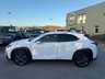 USED 2023 73 LEXUS UX 2.0 250h F Sport Design SUV 5dr Petrol Hybrid E-CVT Euro 6-FINISHED IN F SPORT WHITE WITH IVORY LEATHER UPHOLSTERY-ELECTRIC FOLDING MIRRORS-BLUETOOTH-CRUISE CONTROL-SATNAV-REVERSE CAMERA-DAB RADIO-HEATED SEATS-HEATED STEERING WHEEL-DUAL ZONE CLIMATE CONTROL 