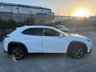 USED 2023 73 LEXUS UX 2.0 250h F Sport Design SUV 5dr Petrol Hybrid E-CVT Euro 6-FINISHED IN F SPORT WHITE WITH IVORY LEATHER UPHOLSTERY-ELECTRIC FOLDING MIRRORS-BLUETOOTH-CRUISE CONTROL-SATNAV-REVERSE CAMERA-DAB RADIO-HEATED SEATS-HEATED STEERING WHEEL-DUAL ZONE CLIMATE CONTROL 
