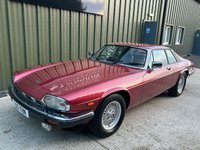 USED 1988 F JAGUAR XJS 5.3 V12 - Ultra low mileage and owners 