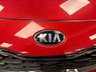 USED 2019 68 KIA SPORTAGE 1.6 CRDi GT-Line S SUV 5dr Diesel DCT Euro 6 (s/s) (134 bhp) UK DELIVERY FLAT FEE &pound;175 (SUBJECT TO DEAL) *OVER 100 IMAGES ON OUR WEBSITE*BESPOKE FINANCE ARRANGED*PART EXCHANGE WELCOME*ALL VEHICLES HPI CLEAR