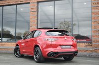 USED 2023 23 ALFA ROMEO STELVIO 2.9 V6 Bi-Turbo Quadrifoglio SUV 5dr Petrol Auto Q4 AWD Euro 6 (s/s) (520 ps) PAN ROOF / 1 OWNER / ASSIST+