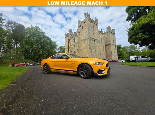 View our FORD MUSTANG