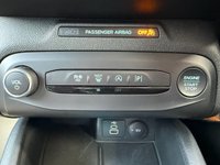 USED 2024 74 FORD FOCUS 1.0T EcoBoost MHEV ST-Line Hatchback 5dr Petrol Hybrid Manual Euro 6 (s/s) (125 ps) 