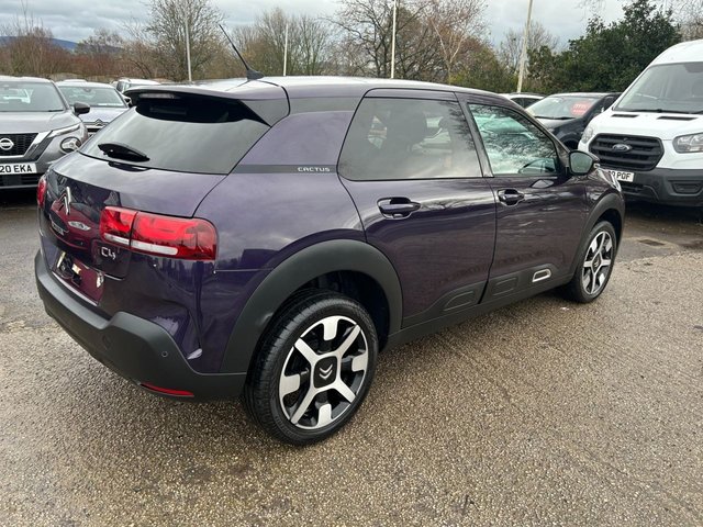 2019 CITROEN C4 CACTUS - Photo 3