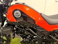 USED 2022 72 BENELLI Leoncino 125 125 Roadster/Retro Learner Legal  Learner Legal, Ride from 17, Cheap Insurance, Cheap Tax, Low Running Costs