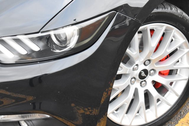 View our FORD MUSTANG