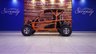 USED 2019 N BLITZWORLD VIGILANTE 2.0L **OFF ROAD**VIGILANTE**