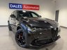 USED 2025 75 ALFA ROMEO STELVIO Quadrifoglio 