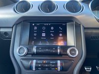 USED 2019 69 FORD MUSTANG 5.0 V8 GT Fastback 2dr Petrol Manual Euro 6 (450 ps) SMART LOOKING EXAMPLE  - JUST 26,000 MILES - FORD SERVICE HISTORY - MAGNETIC GREY METALLIC - FULL BLACK LEATHER INTERIOR