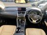 USED 2019 68 LEXUS NX 2.5 300h Takumi SUV 5dr Petrol Hybrid E-CVT 4WD Euro 6 (s/s) (197 ps) Heated seats Panoramic roof