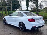 USED 2019 19 BMW 2 SERIES 2.0 220d M Sport Coupe 2dr Diesel Auto Euro 6 (s/s) (190 ps) 