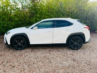 USED 2019 69 LEXUS UX 2.0 250h F Sport SUV 5dr Petrol Hybrid E-CVT E-FOUR Euro 6 (s/s) (184 ps) Award Winning Used Car Dealer Essex